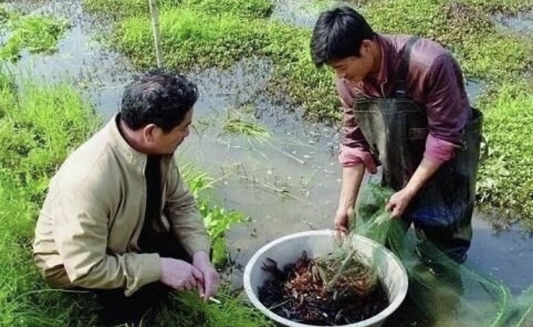 潜江6.jpg