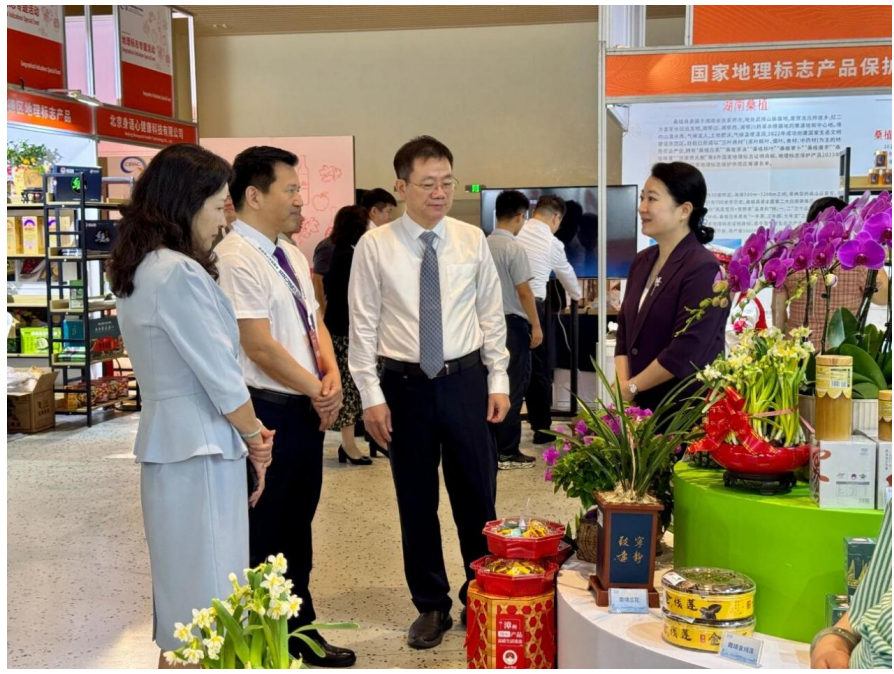 漳州“山海盛宴”惊艳第十四届学问产权年会