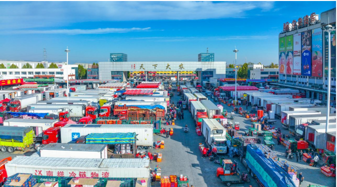 守稳万家“菜篮子” 托举民生幸福感